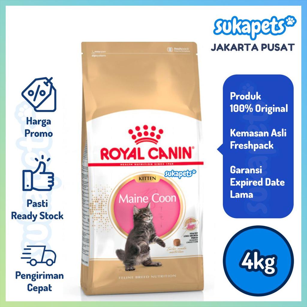 Jual Royal Canin Kitten Maine Coon Makanan Anak Kucing 4kg