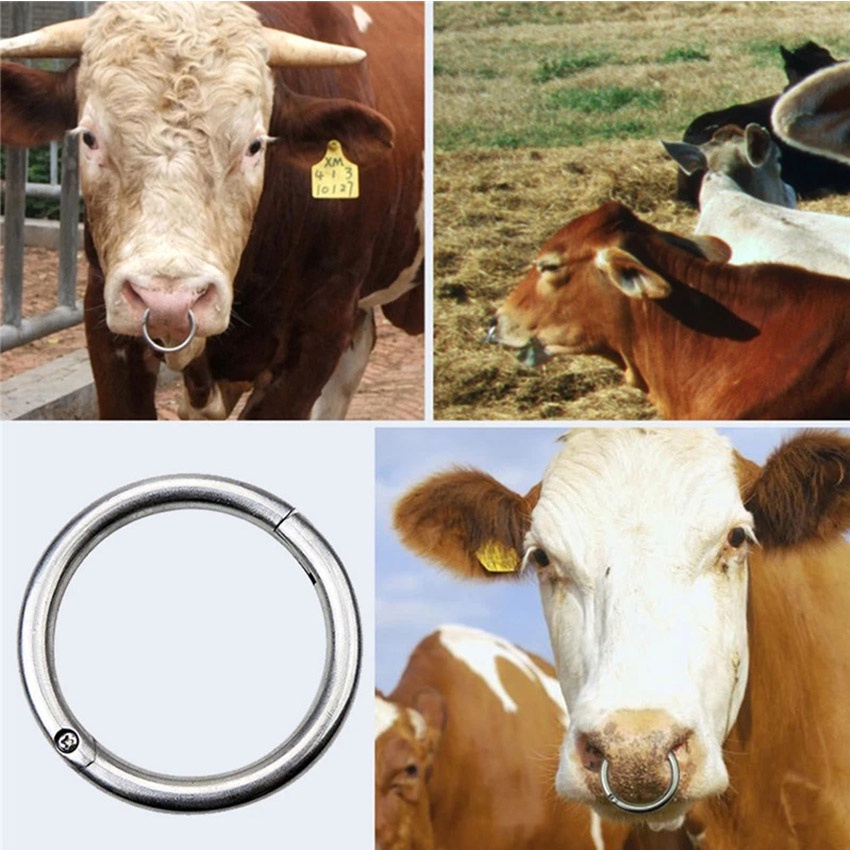 Jual Klip Bullnose / Cincin Hidung Bermuatan Pegas / Bull Ring Cincin ...