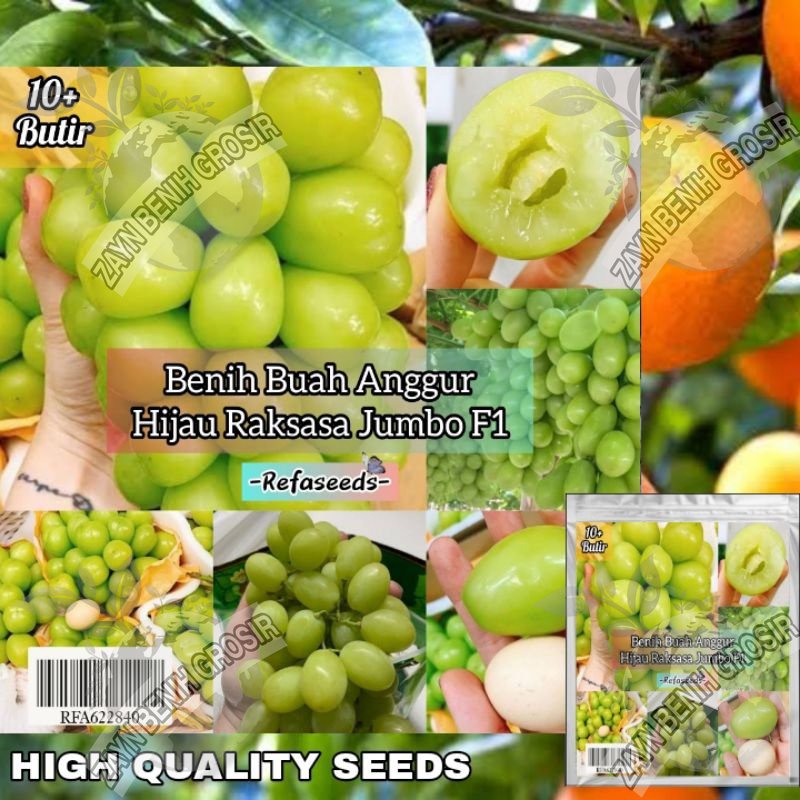 Jual Pack Biji Benih Buah Anggur Super Raksasa F Kemasan