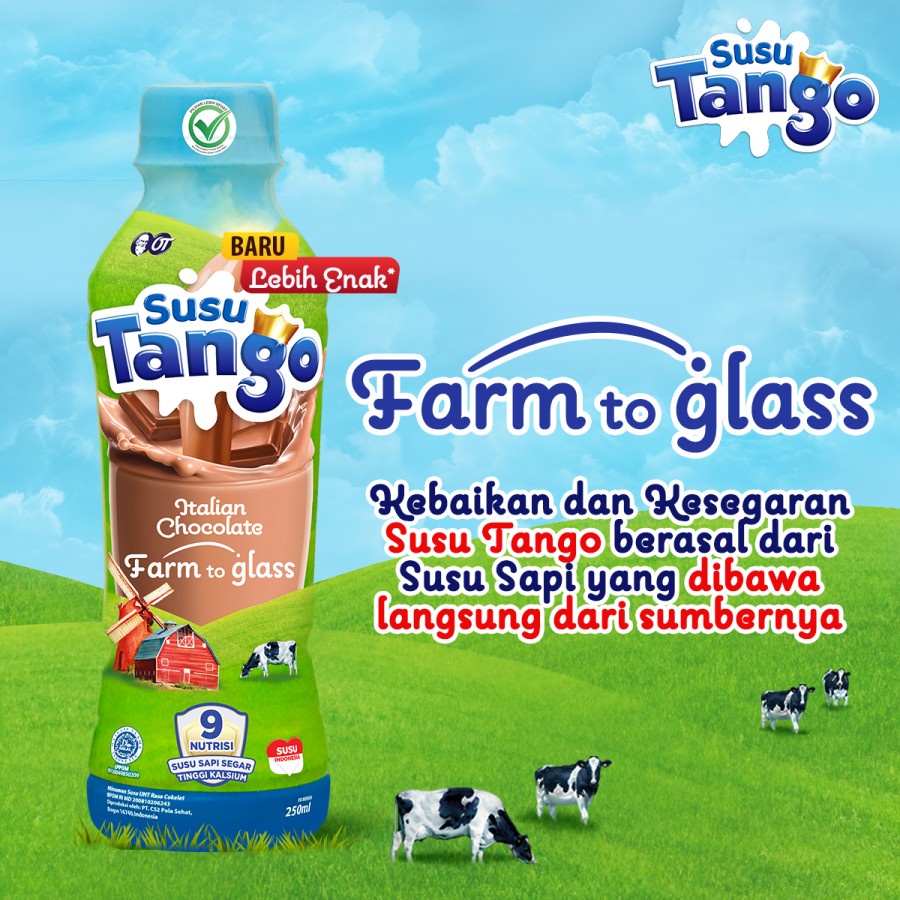 Jual Paket Susu Tango Italian Chocolate 250ML - Bundle 4 Pcs | Shopee ...