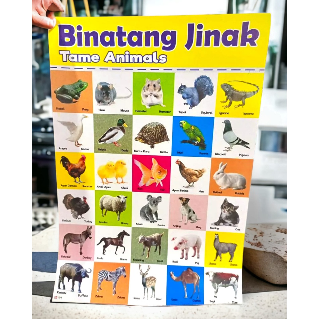 Jual Poster Edukasi Anak Cara Shalat,Cara Wudhu,Abjad,Hijaiyah,Angkadll ...