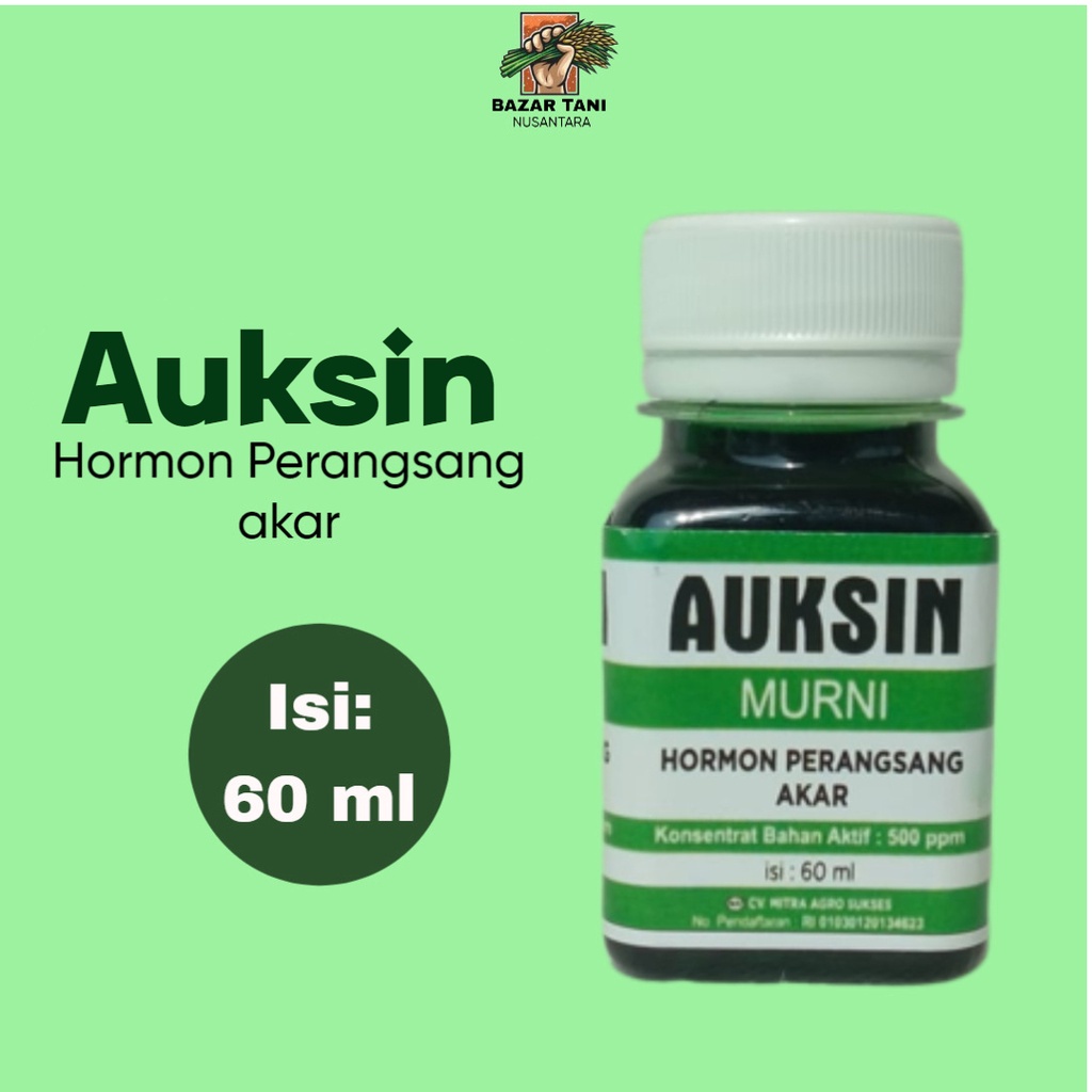 Jual Hormon AUKSIN Perangsang Akar Tanaman Auksin Murni Auxin Stek ...