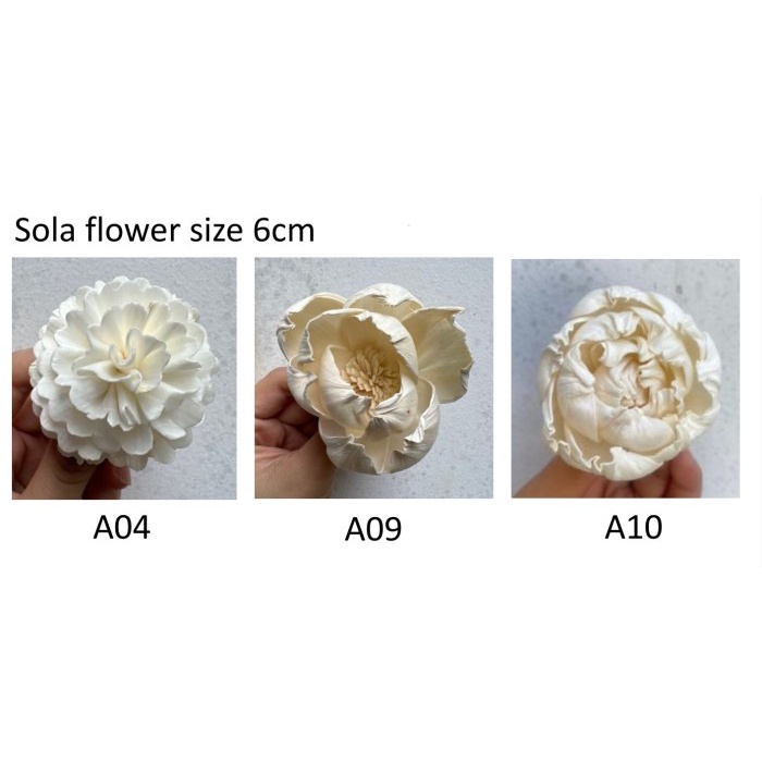 Jual Sola wood flower 1pack10steam/mini sola flower/bunga sola - a06 ...