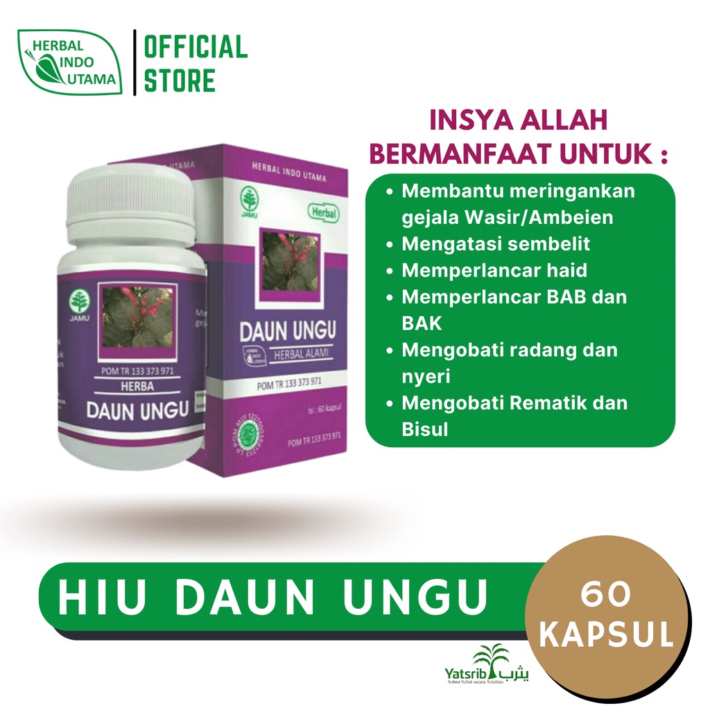HIU DAUN UNGU | Obat Wasir Ambeien Ambeyen Herbal Paling Ampuh Luar Dalam