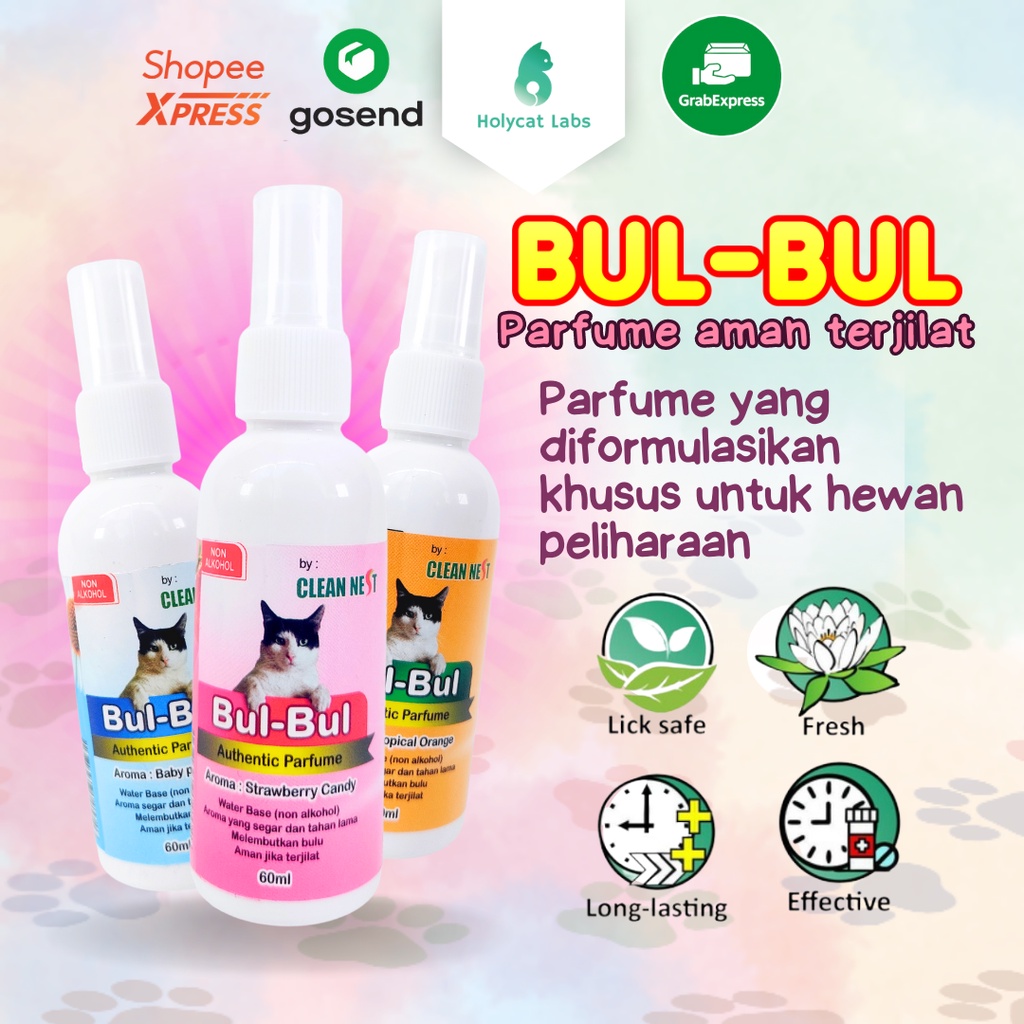 Jual Parfum Kucing BUL BUL Authentic Perfume Aman Terjilat Non Alkohol ...