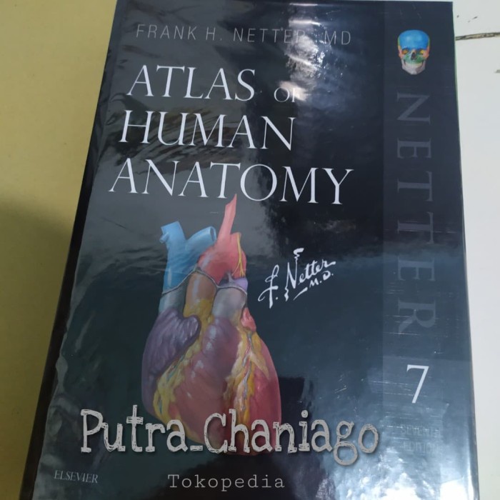 Jual Atlas Of Human Anatomy 7th Seventh Edition By Netter 7 Buku Cetak Shopee Indonesia 