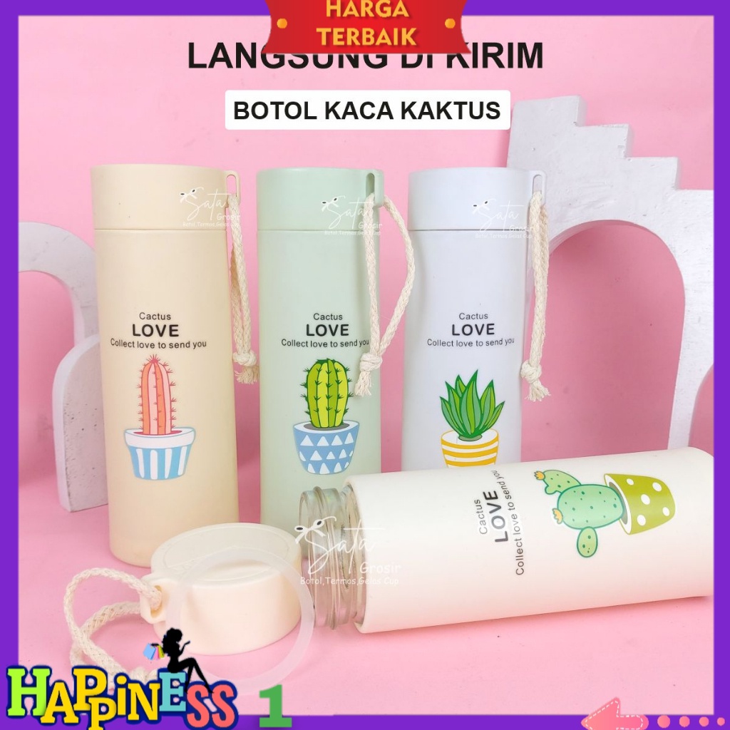 Jual Minim Pcs Botol Kaca Kaktus Tumbler Kaktus Kaca Termos Kaktus Kaca Souvenir Botol