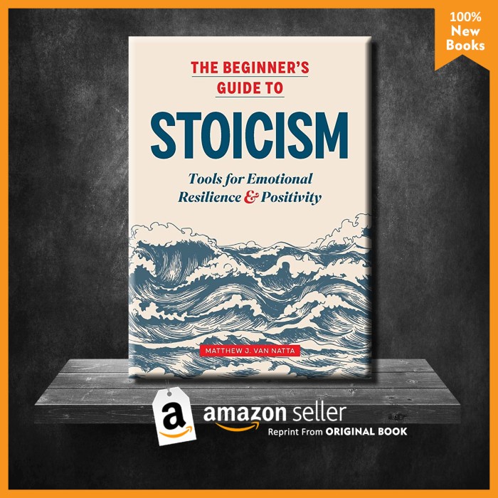 Jual The Beginner's Guide To Stoicism By Matthew Van Natta (English ...