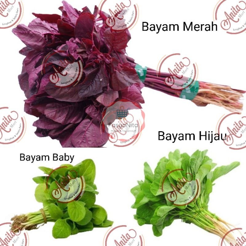 Jual Sayur Bayam - Hijau Merah Jepang Poling Segar Fresh | Shopee Indonesia