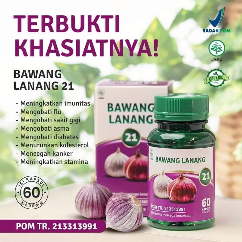Kapsul bawang tunggal lanang obat darah tinggi hipertensi jantung kolesterol ampuh