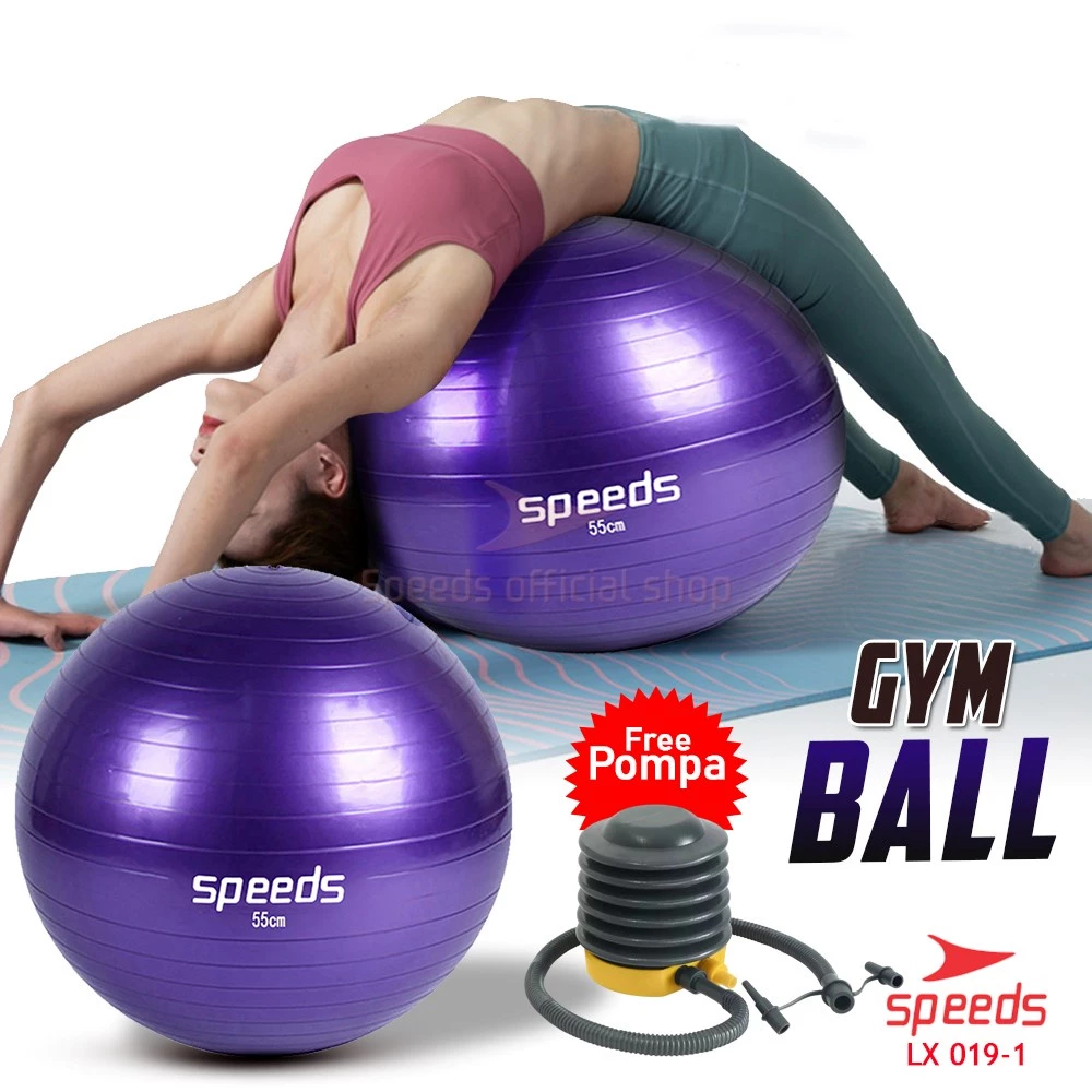 Gym Ball Bola Fitness Yoga