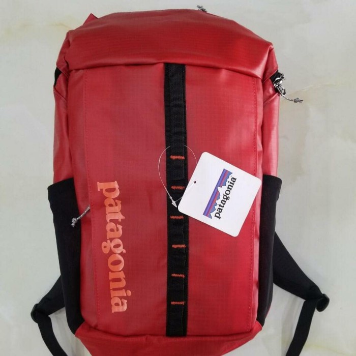 Jual Tas Ransel Backpack Patagonia Black Hole 23L Travel Pack merah ...