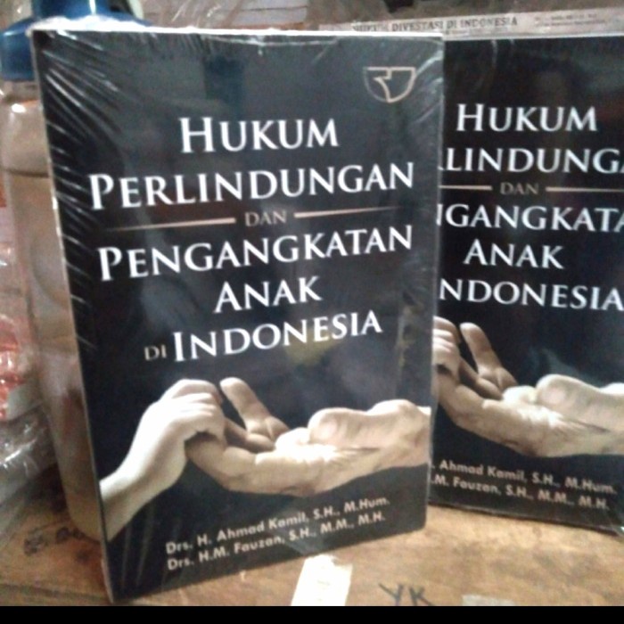 Jual BUKU HUKUM PERLINDUNGAN DAN PENGANGKATAN ANAK DI INDONESIA- Ahmad ...