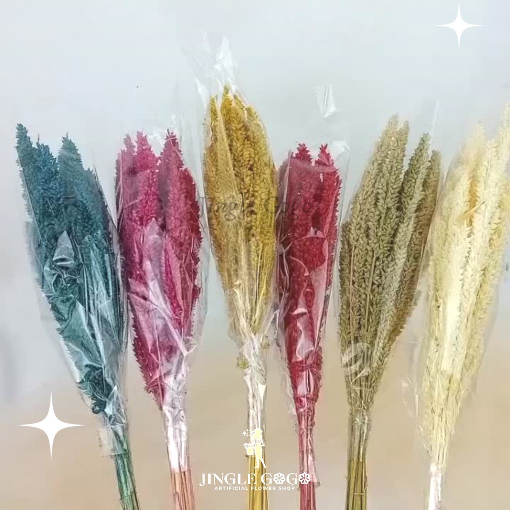 Jual Bunga Kering Jiwan (1 ikat) Dried Flower Preserved Flower untuk ...