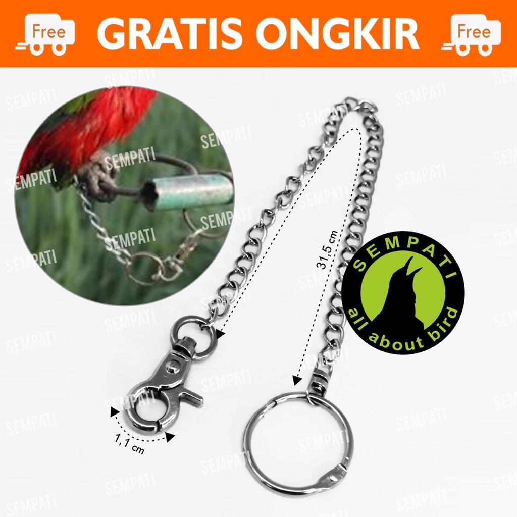 Jual READY RANTAI UJUNG BESI UNTUK KAKI BURUNG NURI BEO BETET HANTU DLL ...