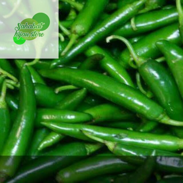 Jual Cabe Cabai Hijau Besar 500 Gr Shopee Indonesia