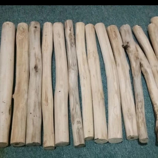 Jual ranting kayu jati diameter 5cm panjang 50cm - ranting jati besar ...