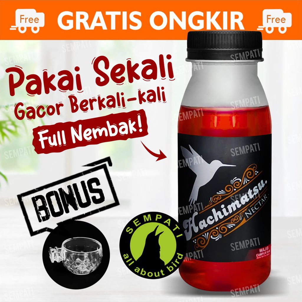 Jual Nectar Hatchimatsu Nektar Pleci Kolibri Konin Sogon Instant Gacor Free Cepuk Pakan Makanan