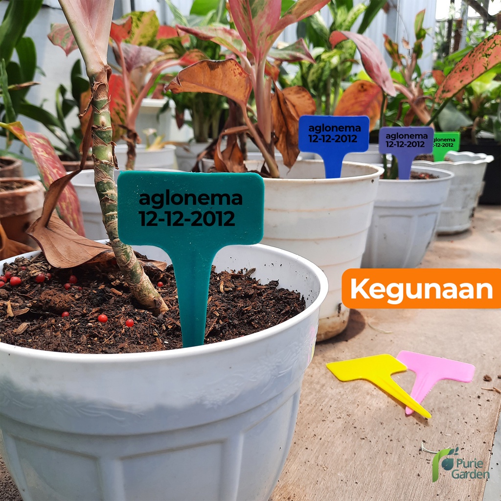Jual ECER PER PCS Label Tanaman Penanda Tanaman Name Tag Tanaman ...