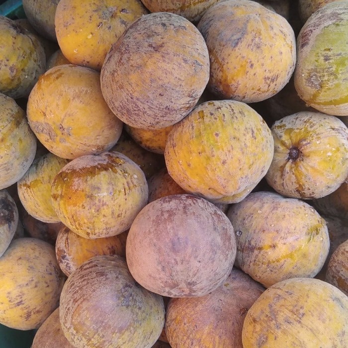 Jual buah kecapi sattulu makassar pasar online makassar | Shopee Indonesia