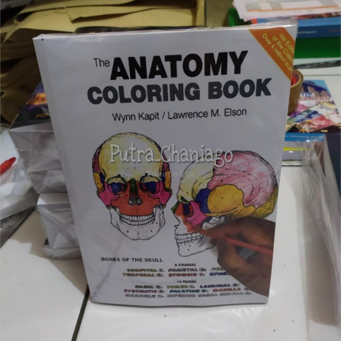 Jual The Anatomy Coloring Book 4th Fourth Edition By Kapit 4 ( Buku