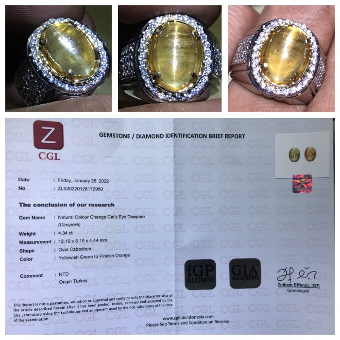Jual 133 Natural 4.34ct Color Change Cat Eye Diaspore Zultanite Turkey