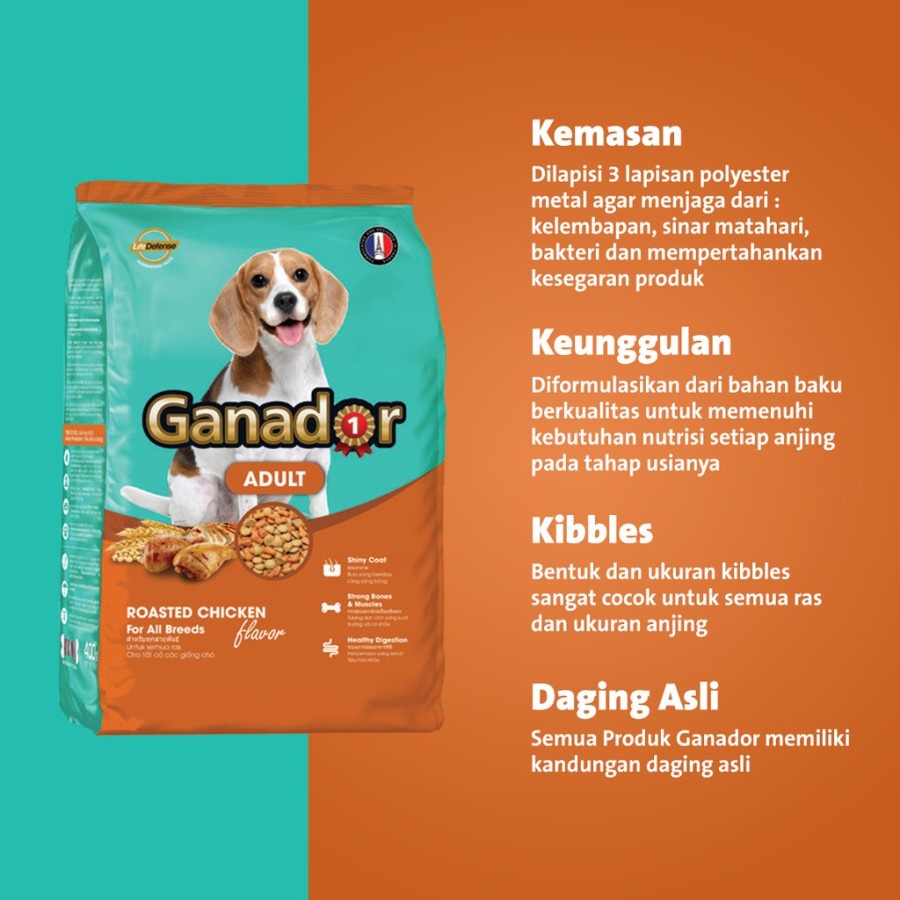 Ragnor Dog Food: Unleashing Canine Nutrition