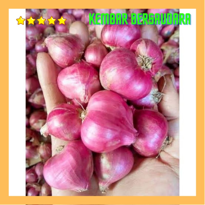 Jual BAWANG MERAH LOKAL SUPER PREMIUM BESAR 1kg | Shopee Indonesia