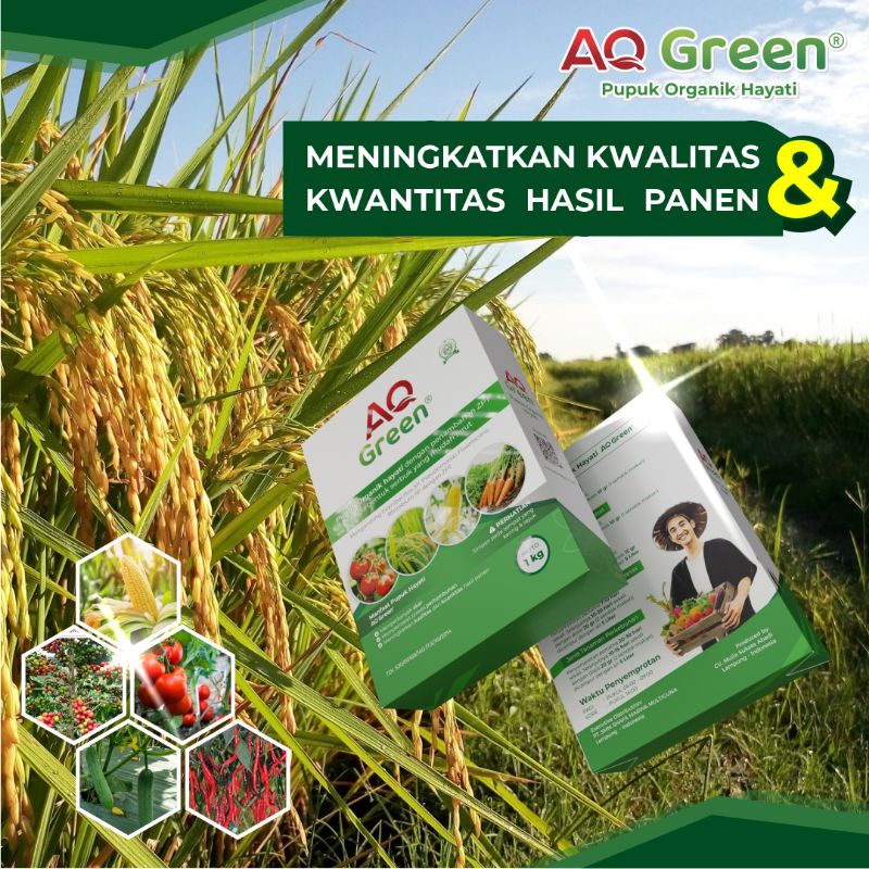 Jual Pupuk Organik Bubuk Pupuk Hayati Multiguna AQ GREEN 1 kg Untuk ...