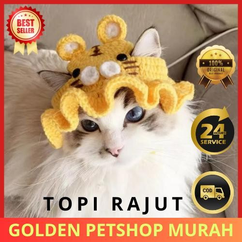Jual GOLDEN PM TOPI RAJUT KUCING Topi Bucket Hat Kucing Anjing ...
