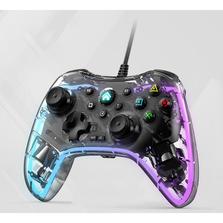 Jual Professional Grade Wired Gamepad RGB Light Effect Hall Trigger ...