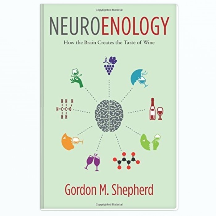 Jual Neuroenology: How the Brain Creates the Taste of Wine -Gordon M ...