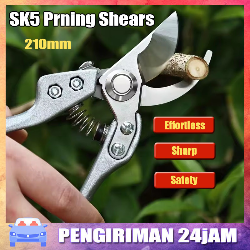 Jual Gunting Dahan Stek Ranting Stainless Silver Gunting Kebun Gunting ...