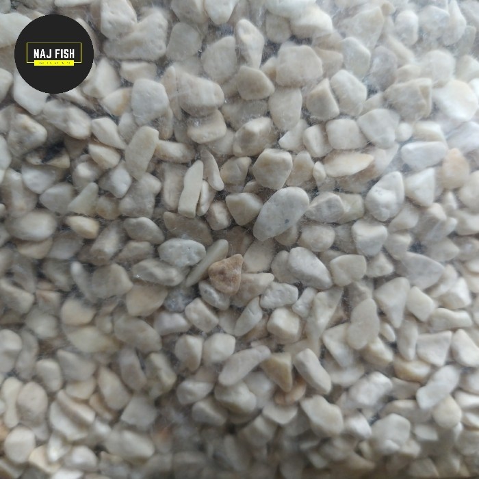 Jual Naj Fish Batu Alor Putih 1KG Penghias Pot | Aquarium | Taman ...