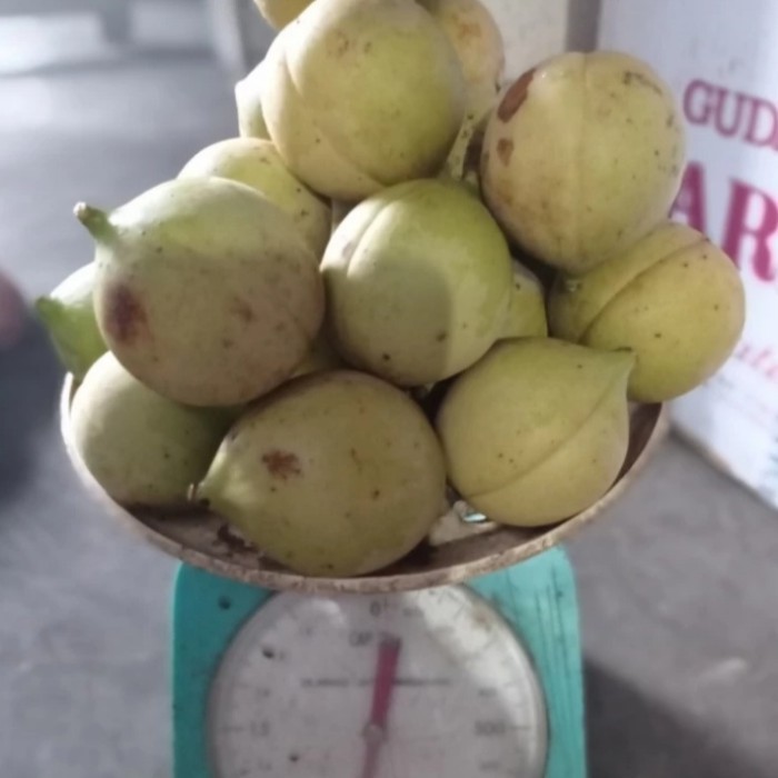 Jual manisan buah pala segar 1kg | Shopee Indonesia