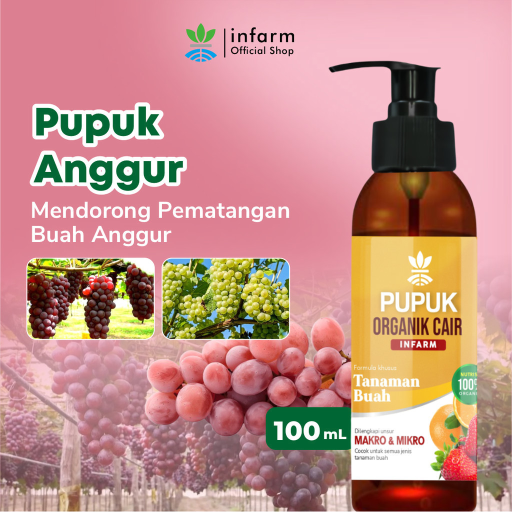Jual TANDURI - Pupuk Booster Anggur Pupuk Organik Cair Tanaman Buah ...