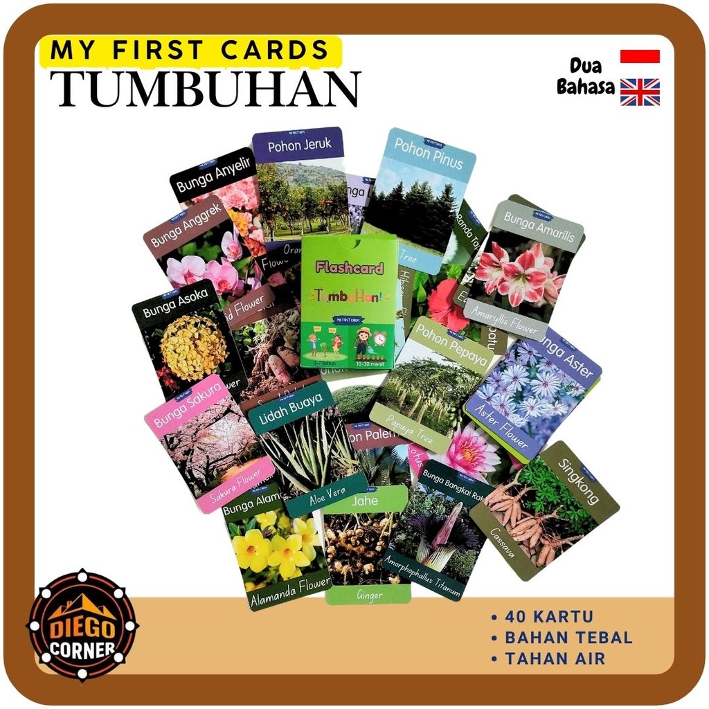 Jual Mainan Edukasi Anak Kartu Pintar My First Cards Tumbuhan Flash ...
