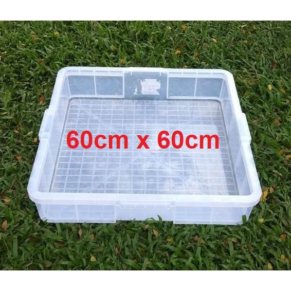 Jual Kontainer Green Leaf Container Roti 60x60x15cm Transparant 45L ...