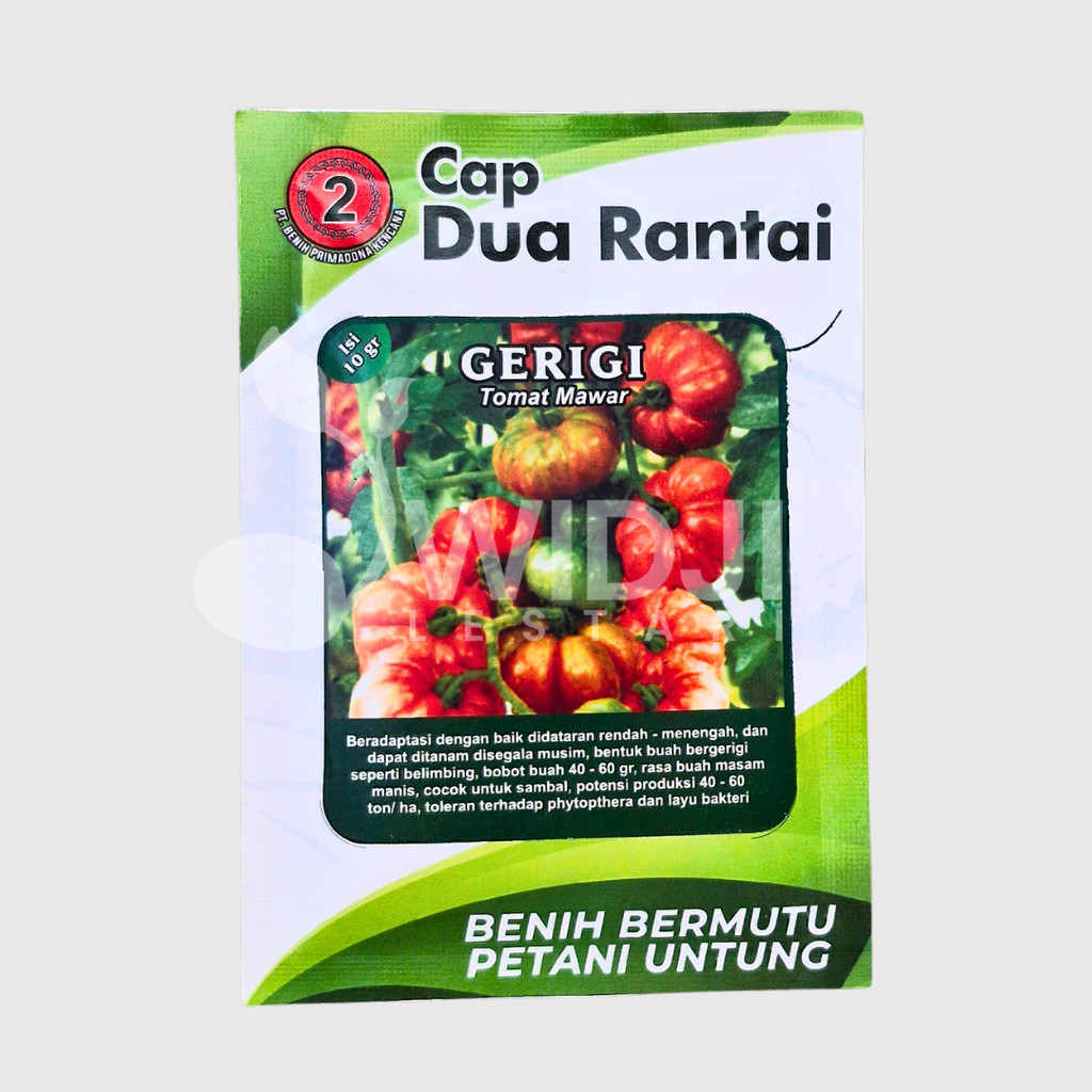 Jual GERIGI 5gr Benih Tomat Hibrida Original Cap Dua Rantai Bentuk buah ...
