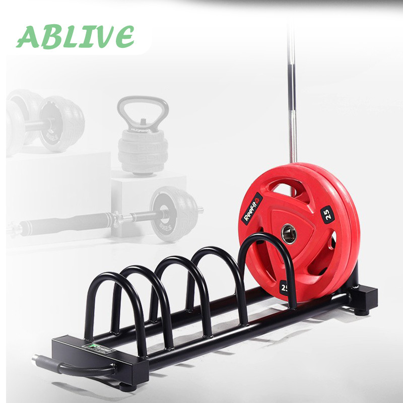 Jual Rack Bumper Plates Organizer Storage Untuk Barbel Dan Olympic Bar ...