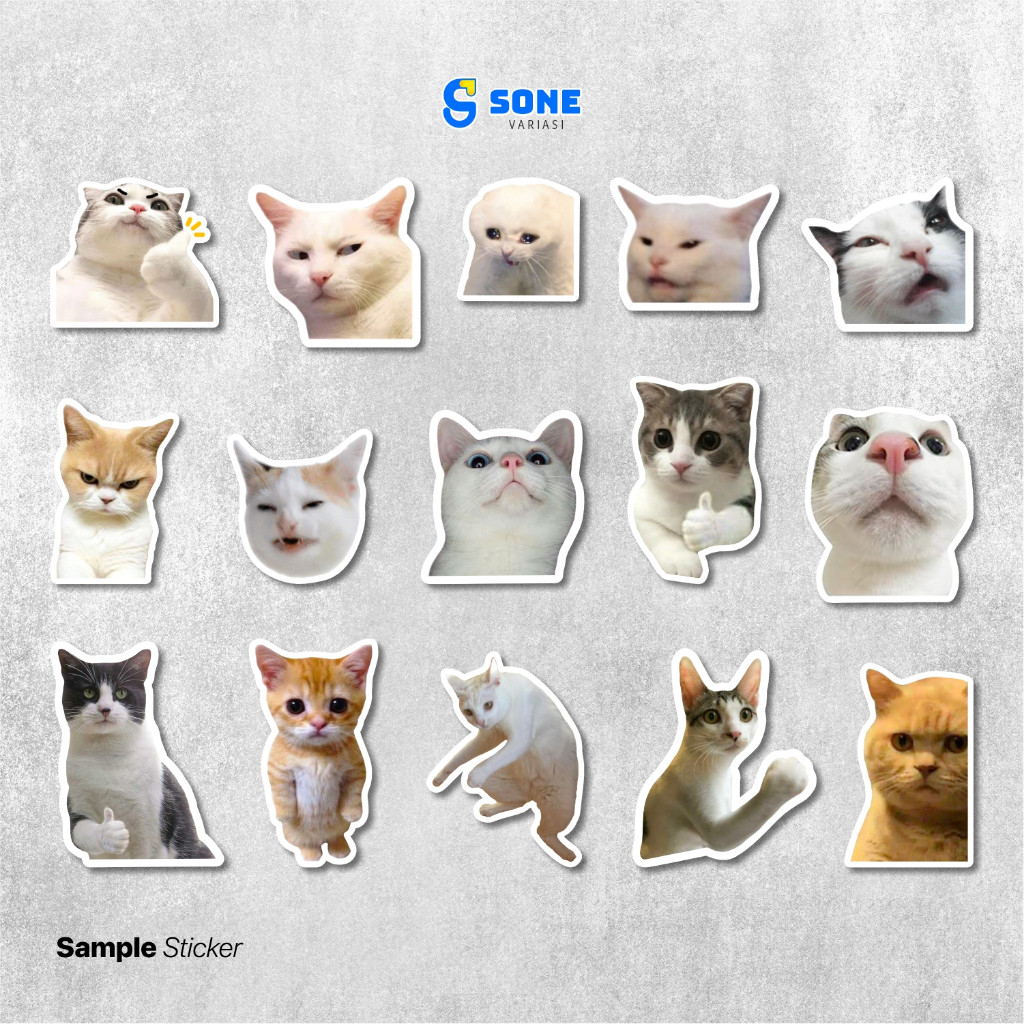 Jual Stiker Pack Meme Kucing Aesthetic Paper Vinyl Waterproof Dekorasi ...