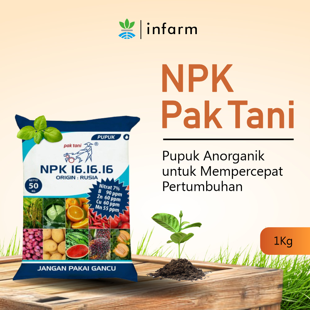 INFARM - Pupuk NPK Mutiara 16 16 16 1 KG Pupuk Mutiara NPK Pak Tani 16 16 16 1KG Pupuk Pak Tani Butiran Biru Kaya Unsur Hara Makro Lengkap  Penyubur Tanaman Sayur Buah & Bunga  Tingkatkan Pertumbuhan Perbanyak Bunga & Buah Daun Lebat Panen Maksimal