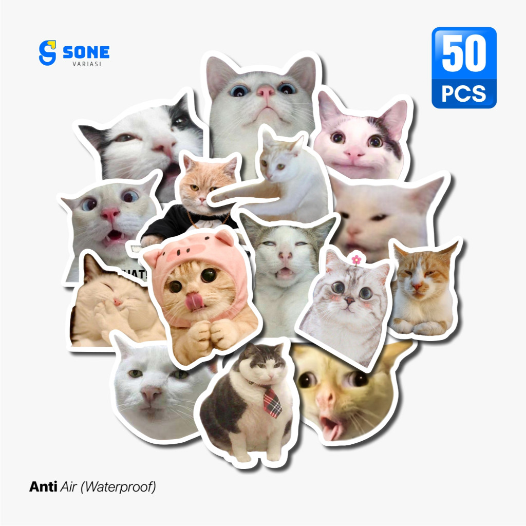 Jual Stiker Pack Meme Kucing Aesthetic Paper Vinyl Waterproof Dekorasi ...
