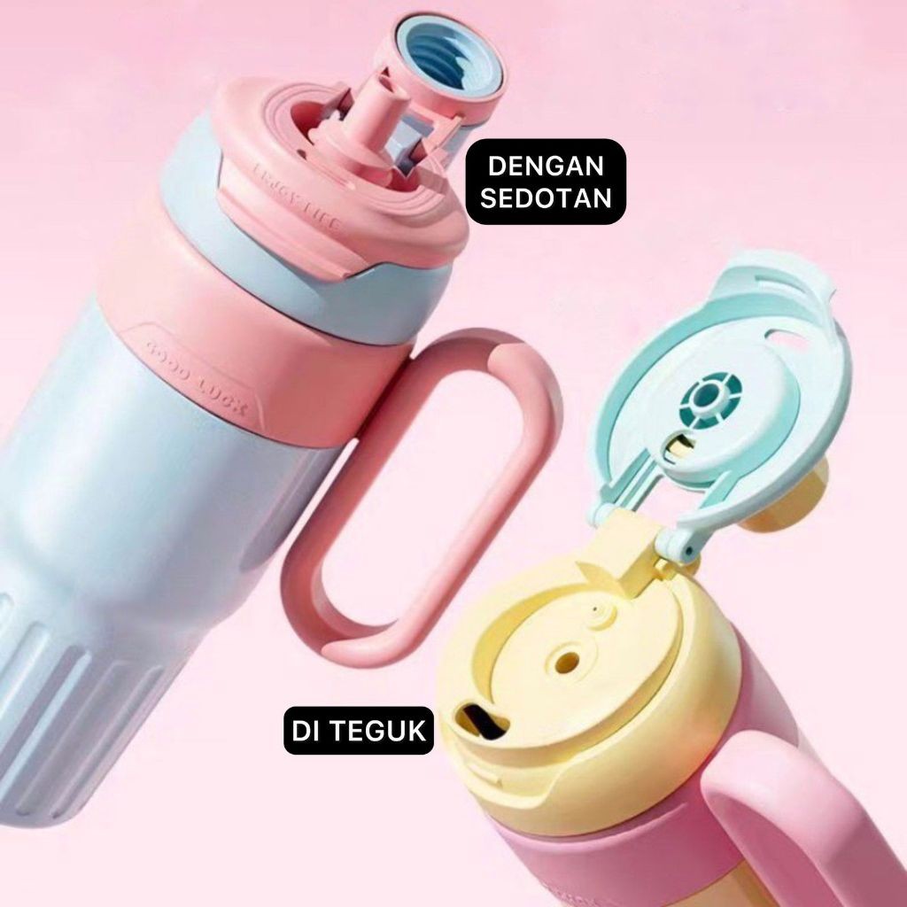 Jual KAMEJING SUNWAYSTORE - Tumbler Stainless Steel Dreamy 2 Cara Minum ...