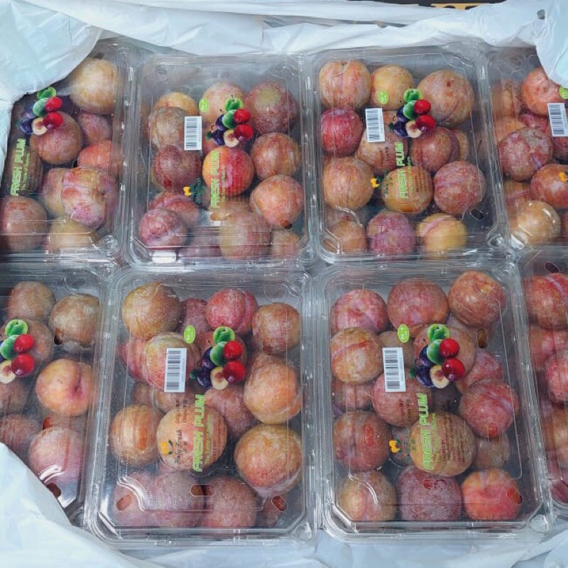 Jual Buah Plum RRC 800 grm / Pack | Shopee Indonesia