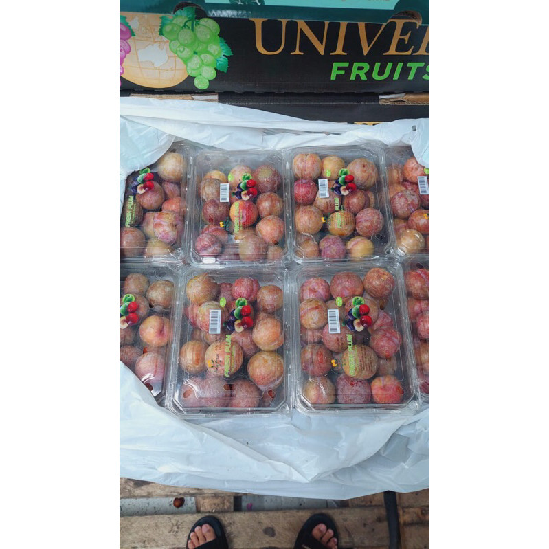 Jual Buah Plum RRC 800 grm / Pack | Shopee Indonesia