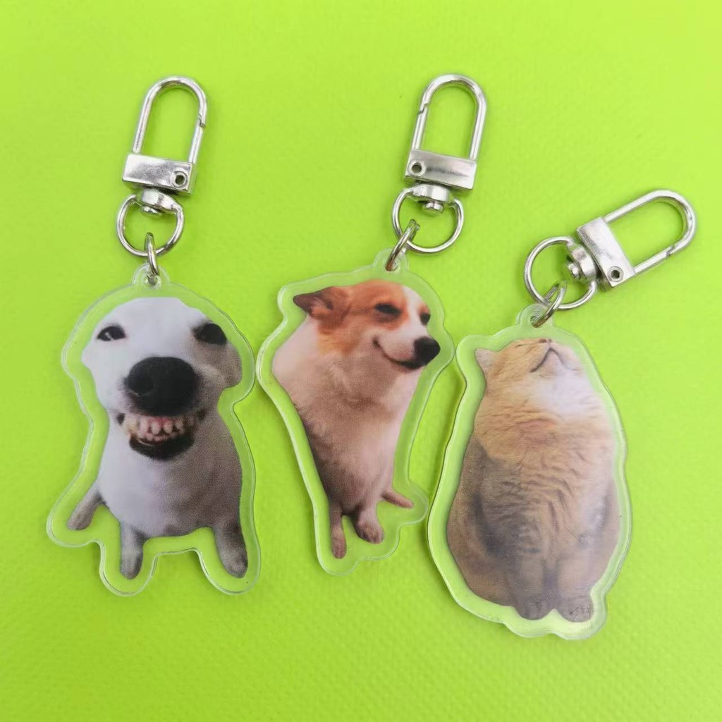 Jual Silly Cat Key Chain, Kitten Sleeping Meme, Dog Laughing Meme ...