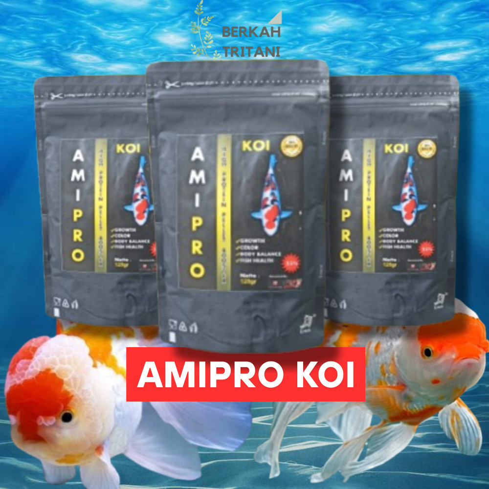 Jual AMIPRO Amino Protein Campuran Pelet Ikan Penambah High Protein ...