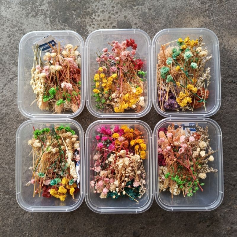 Jual bunga resin bunga kering untuk DIY resin | Shopee Indonesia