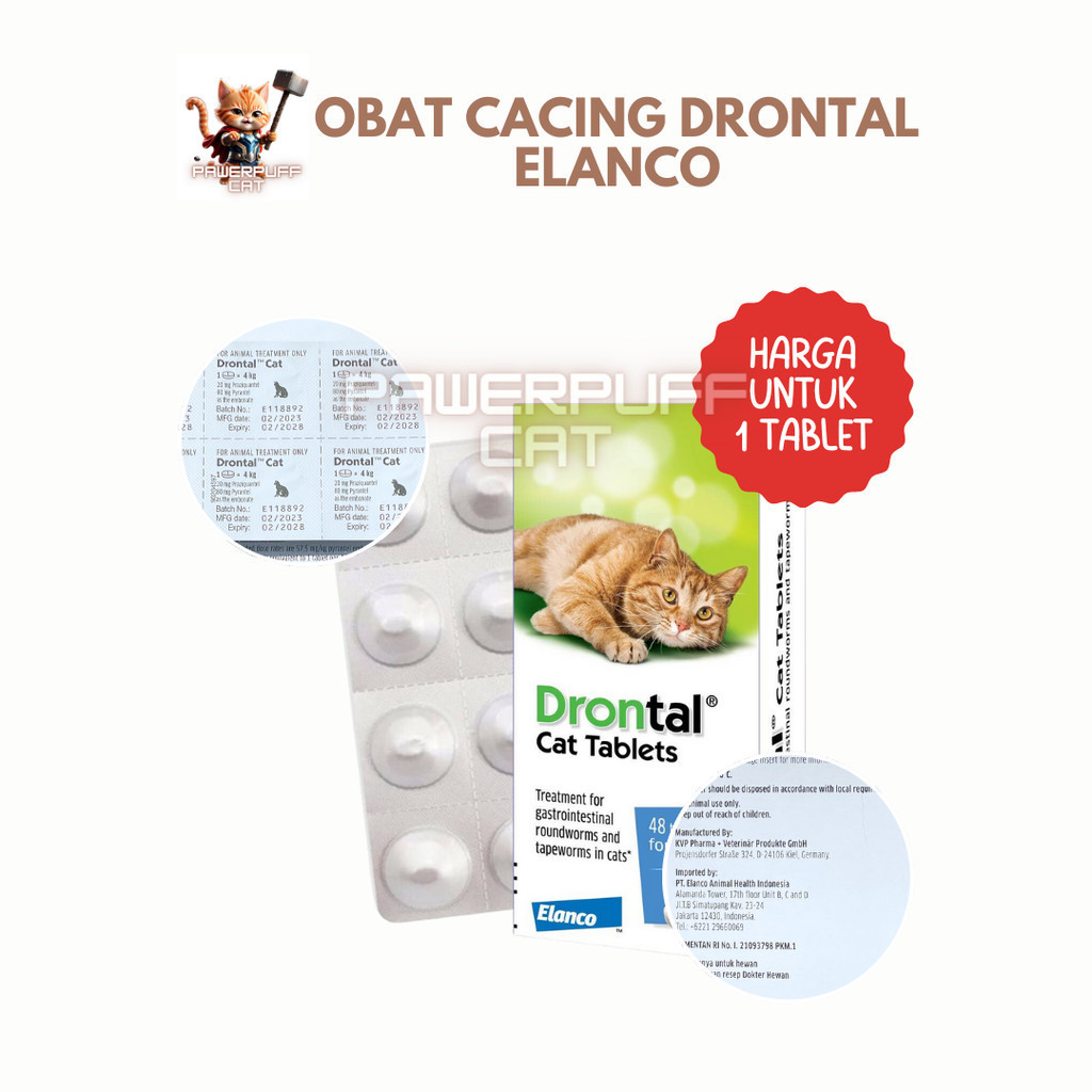 Jual PPC Drontal Cat 1 Tablet Obat Cacing Kucing Dewasa Kitten Anak ...